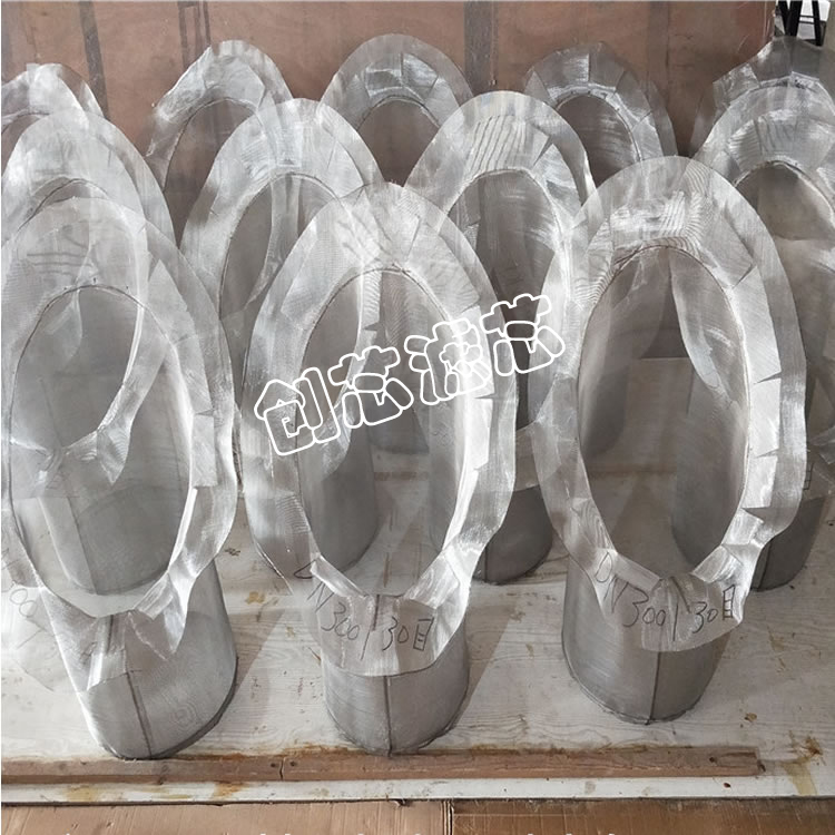 DN300絲網(wǎng)不銹鋼藍(lán)氏濾芯